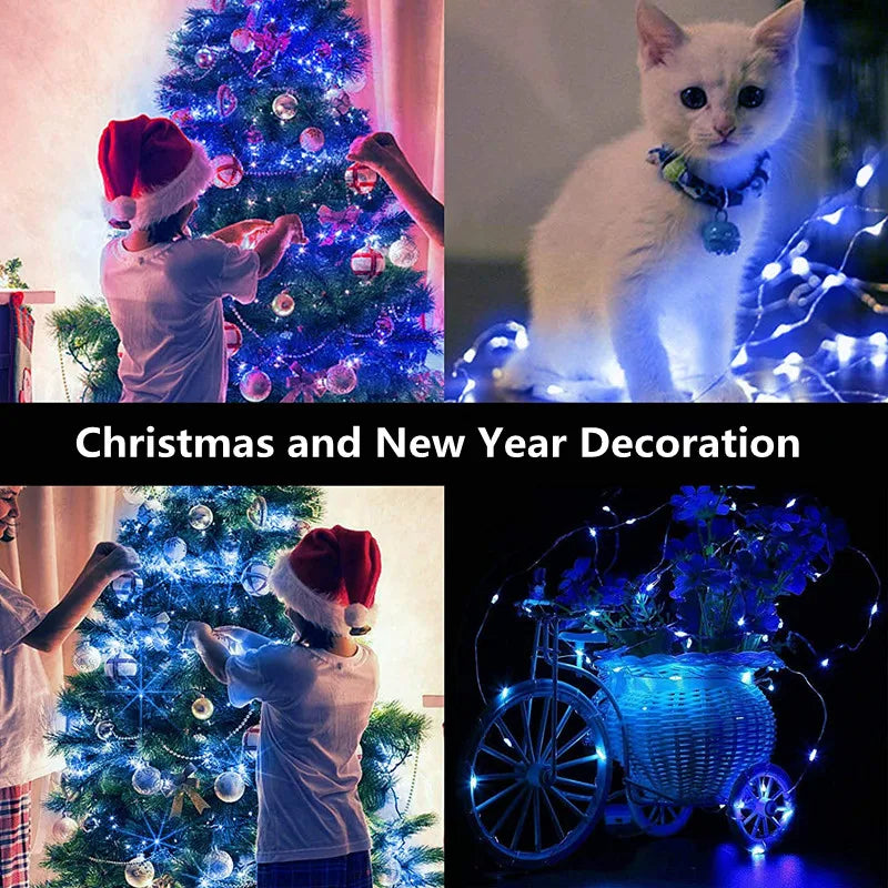 Mini LED Fairy Lights Garland | Christmas, Wedding & New Year Ornament